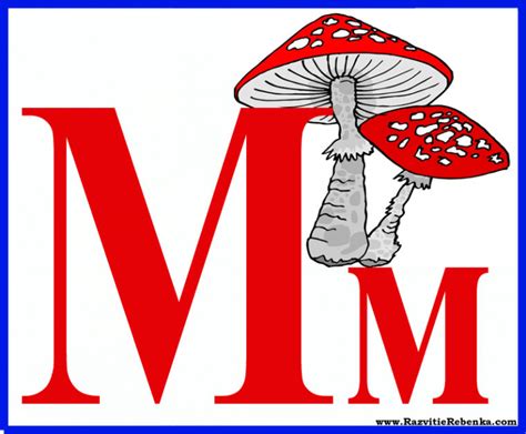 Русский Алфавит Цветные Карточки