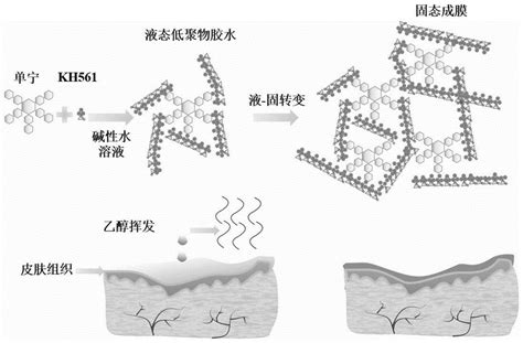 一种单宁酸 环氧硅烷偶联化合物及其制备方法与流程