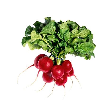 radishes dukkan jaddi