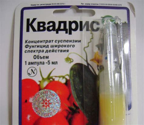 Опрыскивание винограда от болезней – эффективные препараты + Видео