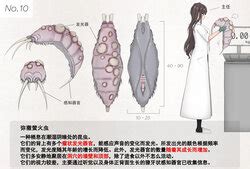 Female Insect E Hentai Galleries