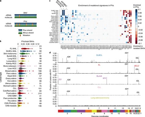 Discovery Of Phased Variants And Their Mutational Signatures Via