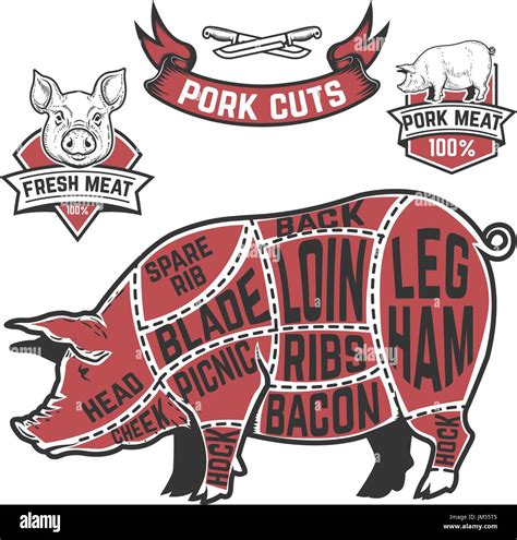 Pork Cuts Butcher Diagram Cow Illustrations On White Background Stock