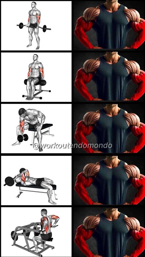 Arm Training Artofit