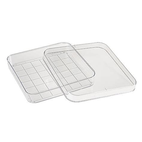 Square Petri Dish W Grid