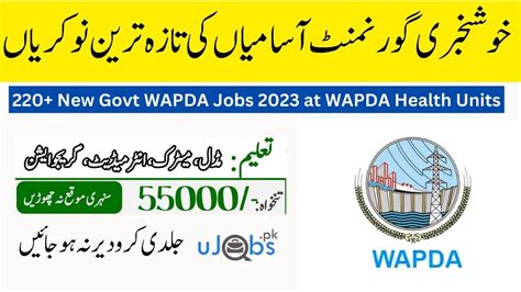 220 New Govt WAPDA Jobs 2023 At WAPDA Health Units Ilm Ki Dunya Org