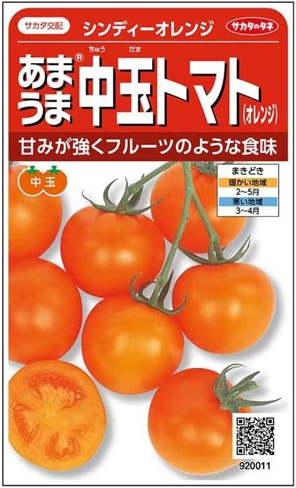 Amazon サカタのタネ 実咲野菜0011 あまうま中玉トマトオレンジ シンディーオレンジ 野菜