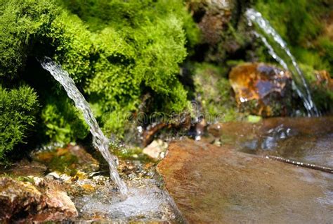 Source of spring water. In the forest , #AFF, #spring, #Source, #forest ...