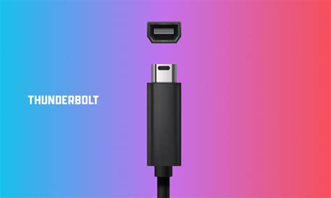 Types Of Thunderbolt Ports At Wilma Aron Blog