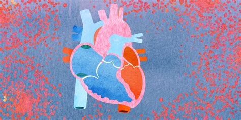 3 Things To Know About Your Heart During Cancer Treatment News Yale