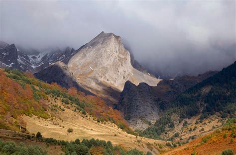 Fotos - SELVA DE OZA