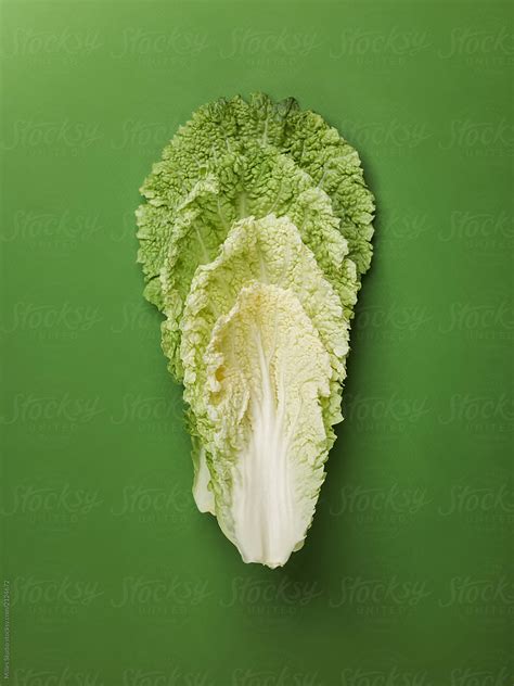 leaves  cabbage  green  stocksy contributor milles team stocksy