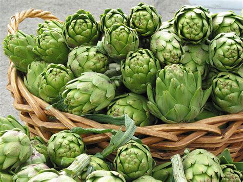 Артишок - Полезные свойства и применение | Книга Здоровья