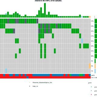 List of pathogenic and likely pathogenic mutations identified with ... 