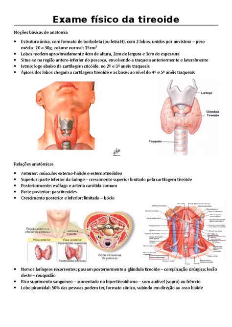 Quais Os Tipos De Tireoide - Tireoide OK - Resumo da aula - Exame físico da tireoide Noções básicas ...