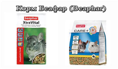 Обзор производителей корма для шиншилл