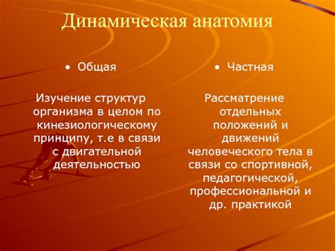 Динамическая анатомия
