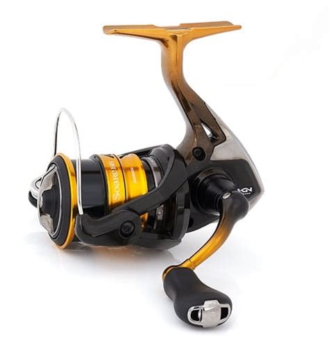 Billig: Rolle Shimano Soare BB C2000S PG » fishingdreamworld.de
