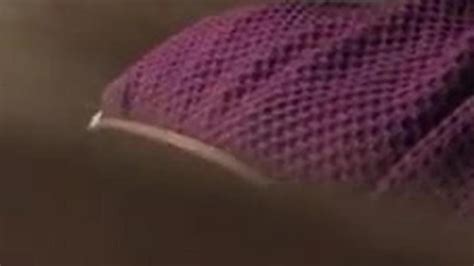 Ebony Toilet Spy 1 Porn Videos