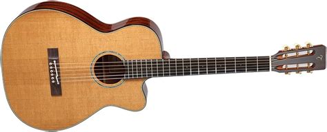17 Best Takamine Guitars Of All Time | Guitar Based