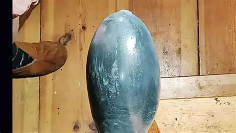 Giant Dildo Anal Insertion Xhamster