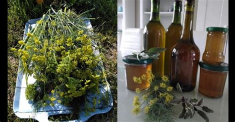 Домашен БРОНХОЛЕК - отхрачващ сироп с вкус на бонбони. Любим на деца и ...