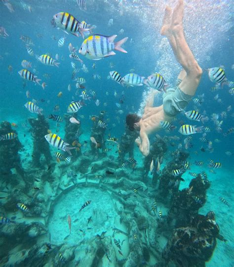 utopia catamaran  hour snorkelling cruise atutopiacatamaran