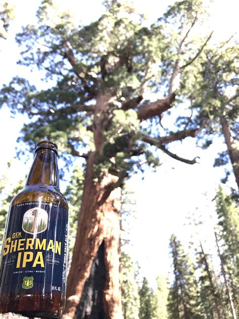 Best Mariposa Images On Pholder Pan Porn Star V Sthe Forcesof Evil And Earth Porn