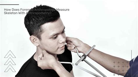 How Does Forensic Anthropology Measure Skeleton With Anthropometry