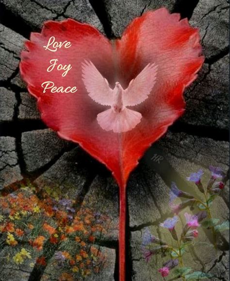 But The Fruit Of The Spirit Is Love Joy Peace Patience Kindness
