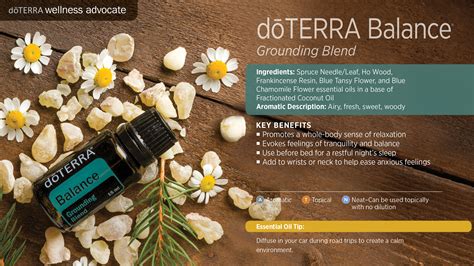 doTERRA Balance Grounding Blend Essential Oil Uses - Best Essential Oils