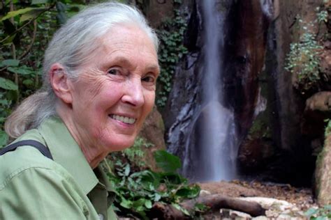 Jane Goodall A Lifetime Of Passion And Advocacy For Animals And Nature