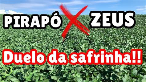 ZEUS x PIRAPÓ safrinha de soja pós milho YouTube