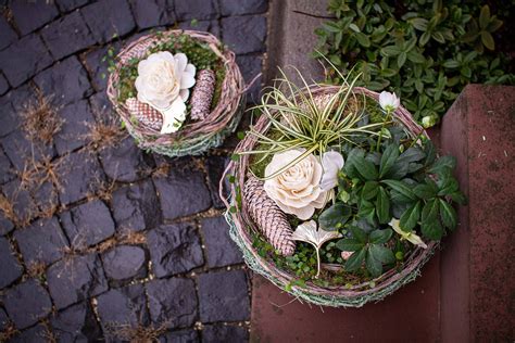 Pflanz Schale Bauchig Hess Floristik