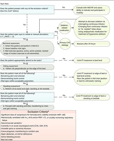 Physical Therapy Examination Template Classles Democracy