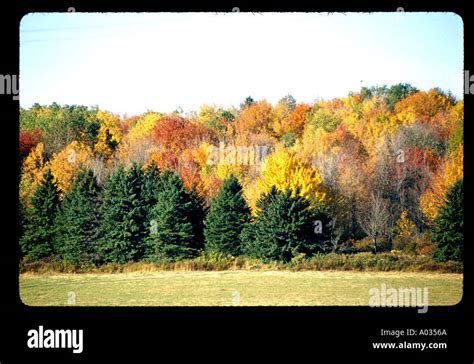 New England fall colors Stock Photo - Alamy