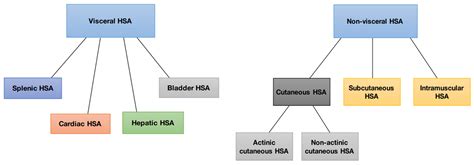 Treatment Of Canine Hemangiosarcoma Encyclopedia MDPI