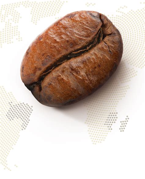 Сорта кофе