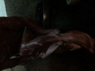 Banyo Free Xxx Tubes Look Excite And Delight Banyo Porn At Hotntubes