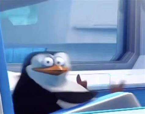 Pin By Silu Wang On Pfp Character Design Inspiration Penguin Meme Memes