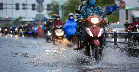 N Ng Gay G T T S Ng V Sao Trung T M Tp Hcm M A To Chi U Nay