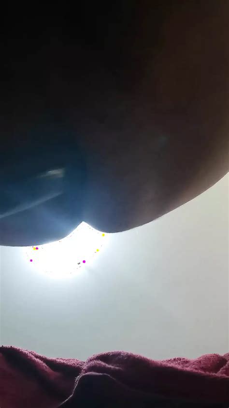 Fuck My Ass XHamster