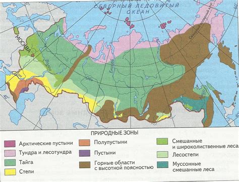 Природные Зоны Мира Картинки – Telegraph
