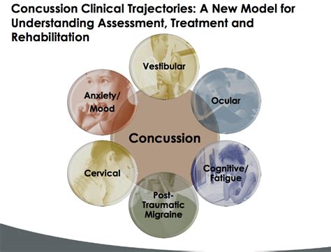 Six Blind Men And The Elephant The Challenge Of Concussion Pink