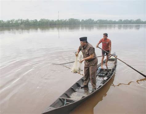 Detail Jala Ikan Di Sungai Koleksi Nomer 19