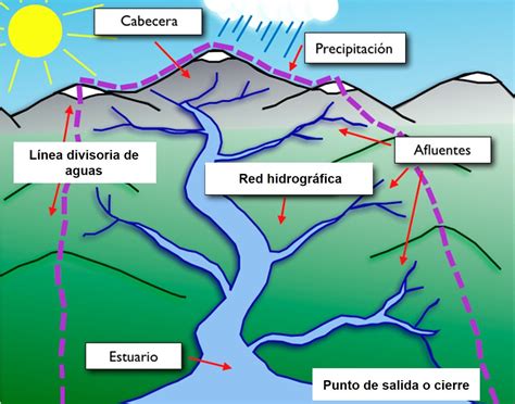 Partes De Una Cuenca Hidrogr Fica