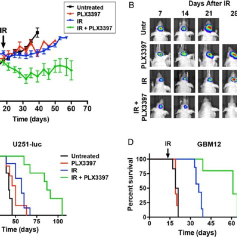 Csf 1r Inhibition Specifically Depletes Cd11b Ly6c2 Monocytes In Download Scientific Diagram