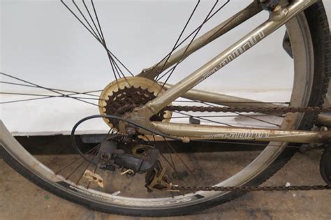 Schwinn Womens Silver Sr Suntour Cruiser Bike Oahu Auctions