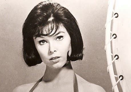 PLANET OF THE DOLLS Doll A Day Brunette Hair Fair Barbie