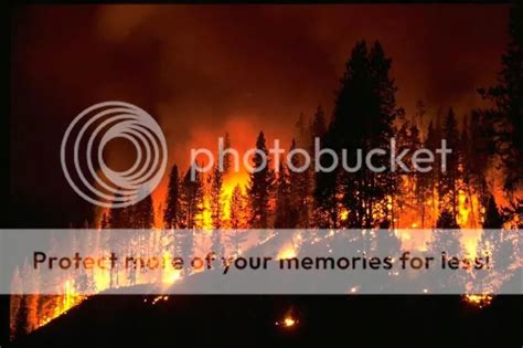 membuat konten  menyebar  api  social media